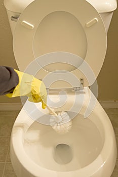 Clean toilet with brush photo