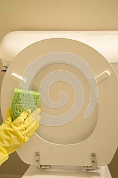 Clean toilet seat with sponge photo