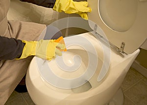 Clean toilet with sponge photo