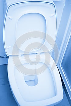 Clean Toilets blue color tone.