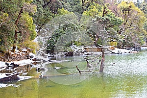 Clean Unpolluted Water of Deoria or Deoriya Tal Lake & Snow Covered Green Trees - Winter Landscape in Himalaya, Uttarakhand, India