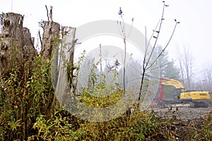 Clean up the forest for housing development