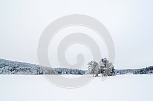 Clean view of a frozen lake with a small island with trees. Sognsvann lake in Oslo photo