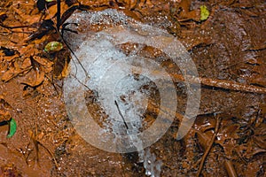 Clean water flowing from the hosepipe at the red ground.