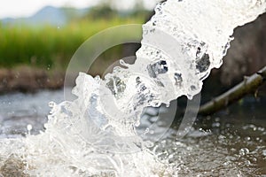 Clean water out from public irrigation pipe