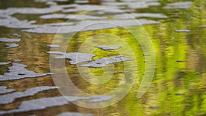 The Clean Water Project