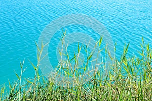 Clean water with ripples on a pond.
