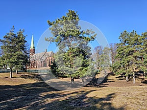 Clean and well-groomed pine city park on a bright spring day in Riga
