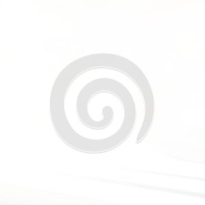 A clean white background with minimal shadowing for a modern look photo