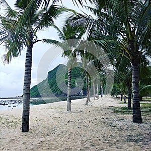 Clean white sands of Maluk Beach photo