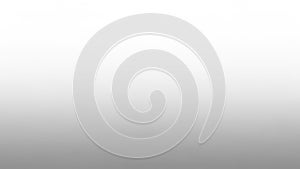 Clean White to Light Gray Gradient Background with Subtle Texture