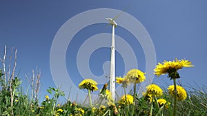 Clean wind energy generator turbine and yellow dandelion flowers move in wind