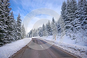 Clean winter road on mountain with turns and curve with trees under the snow