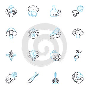 Clean workout linear icons set. Hygiene, Disinfect, Freshness, Sanitize, Tidy, Sterile, Wellness line vector and concept