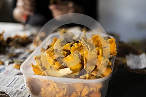 Cleaned chanterelles photo