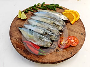 Ready to cook Fresh Fish Horse / Indian Mackerel Fish Decorated with herbs and Vegetables on a wooden pad photo