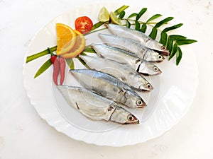 Cleaned and Ready to cook Fresh Fish Horse / Indian Mackerel Fish Decorated with herbs and Vegetables on a white plate