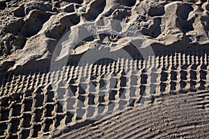 Cleaned by a tractor and people trampled sand on the Mediterrane