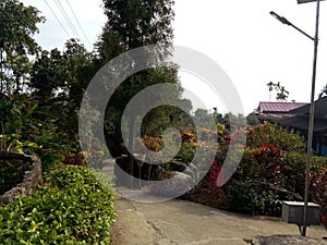 Cleanest village in Asia, mawlinglong, India