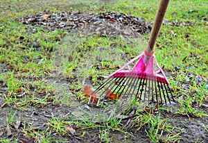 Cleaning autumn leaves1. Rake.