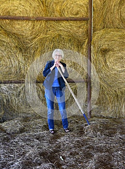 Cleaning the Barn