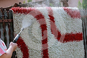 Cleaning the carpet with a gun for washing high pressure water. House cleaning