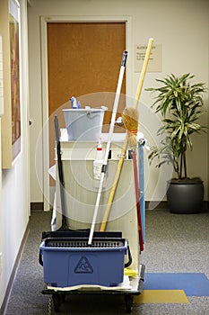 Cleaning cart