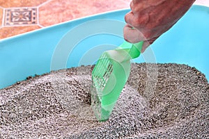 Cleaning cat litter box. Hand is cleaning of cat litter box with green spatula. Toilet cat cleaning sand.