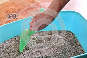 Cleaning cat litter box. Hand is cleaning of cat litter box with green spatula. Toilet cat cleaning sand.