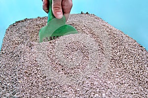 Cleaning cat litter box. Hand is cleaning of cat litter box with green spatula. Toilet cat cleaning sand.