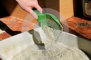 Cleaning cat litter box. Hand is cleaning of cat litter box with green spatula. Toilet cat cleaning sand cat.