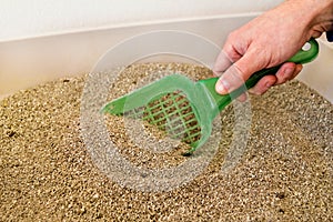 Cleaning cat litter box. Hand is cleaning of cat litter box with green spatula. Toilet cat cleaning sand cat.