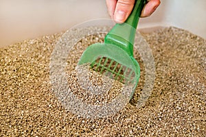 Cleaning cat litter box. Hand is cleaning of cat litter box with green spatula. Toilet cat cleaning sand cat.