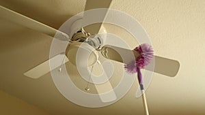 Cleaning ceiling fan in the room