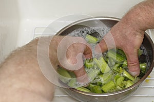 Cleaning Celery