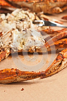 Cleaning colossal, steamed and seasoned blue claw crabs