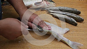 Cleaning and cutting fish