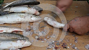 Cleaning and cutting fish