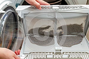 Cleaning the dryer filter. Dryer filter, retains dust and dirt.