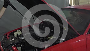 Cleaning the engine bay. Car cleaning and car detailing concept. Car engine washing close-up.