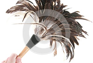 Cleaning with feather duster photo