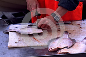 Cleaning fish on the beach