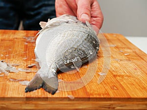 Cleaning fish, Man holding fish`s head. Descaling stage, Raw sea bream on a wooden cutting board