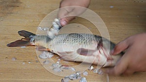 Cleaning fish on the shore of the river.