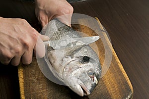 Cleaning fish on a wooden board
