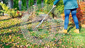 Cleaning the garden from fallen leaves with a fan rake. A gardener woman works with a rake removing fallen leaves in the autumn