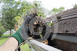 Cleaning Gutters During The Summer