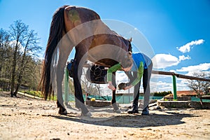 cleaning the hooves of the horse with a brush and a hook