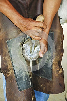 Cleaning a horse hoof