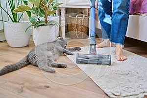 Cleaning house with vacuum cleaner, female with pet cat